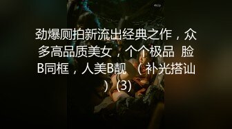 劲爆厕拍新流出经典之作，众多高品质美女，个个极品  脸B同框，人美B靓  （补光搭讪） (3)