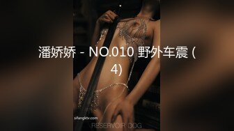 潘娇娇 - NO.010 野外车震 (4)