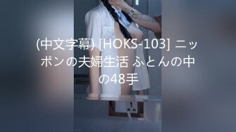 (中文字幕) [HOKS-103] ニッポンの夫婦生活 ふとんの中の48手