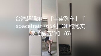 台湾超强炮王「宇宙列车」「spacetrain7654」OF约炮实录【第五弹】 (6)