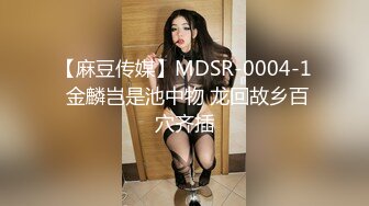 【麻豆传媒】MDSR-0004-1 金麟岂是池中物 龙回故乡百穴齐插