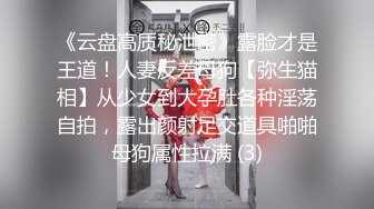 《云盘高质秘泄密》露脸才是王道！人妻反差母狗【弥生猫相】从少女到大孕肚各种淫荡自拍，露出颜射足交道具啪啪母狗属性拉满 (3)