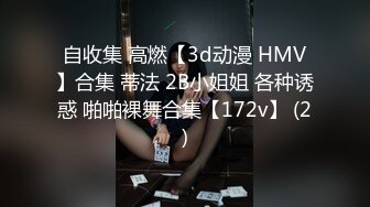 自收集 高燃【3d动漫 HMV】合集 蒂法 2B小姐姐 各种诱惑 啪啪裸舞合集【172v】 (2)