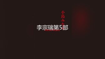 李宗瑞第5部