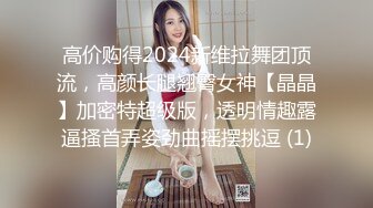 高价购得2024新维拉舞团顶流，高颜长腿翘臀女神【晶晶】加密特超级版，透明情趣露逼搔首弄姿劲曲摇摆挑逗 (1)