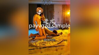 payvgzd.sample