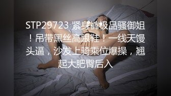 STP29723 紧身裤极品骚御姐！吊带黑丝高跟鞋！一线天馒头逼，沙发上骑乘位爆操，翘起大肥臀后入