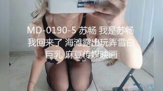 MD-0190-5 苏畅 我是苏畅 我回来了 海滩露出玩弄雪白巨乳 麻豆传媒映画