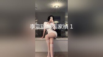 李宗瑞与張家禎 1