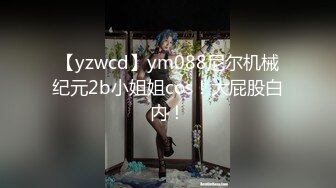 【yzwcd】ym088尼尔机械纪元2b小姐姐cos！大屁股白内！