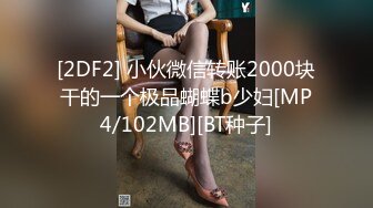 [2DF2] 小伙微信转账2000块干的一个极品蝴蝶b少妇[MP4/102MB][BT种子]