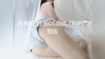 内裤哥_性感OL美腿.480P完整版