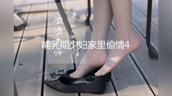 哺乳期少妇家里偷情4