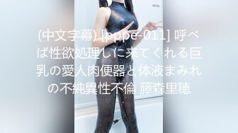 (中文字幕) [pppe-011] 呼べば性欲処理しに来てくれる巨乳の愛人肉便器と体液まみれの不純異性不倫 藤森里穂